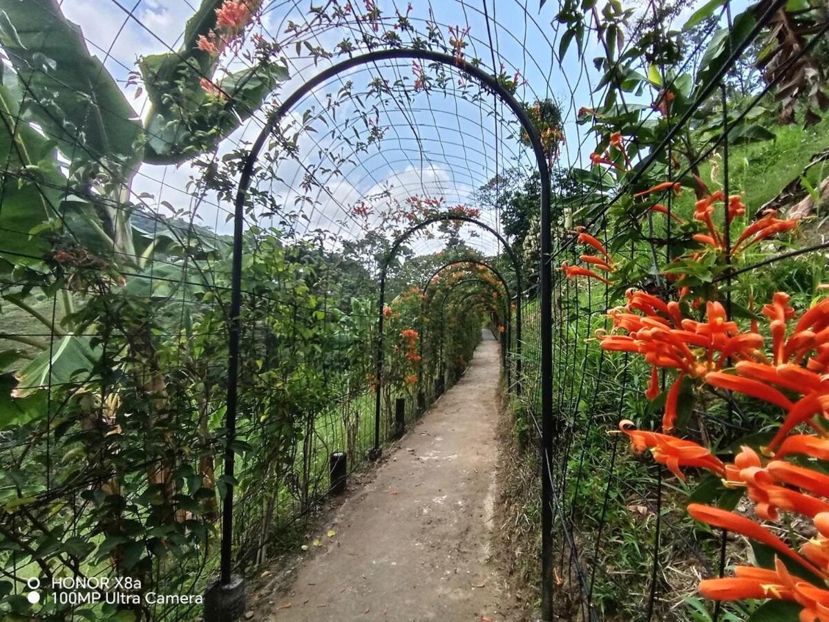 Hospedaje Campestre Providencia مانيزاليس المظهر الخارجي الصورة