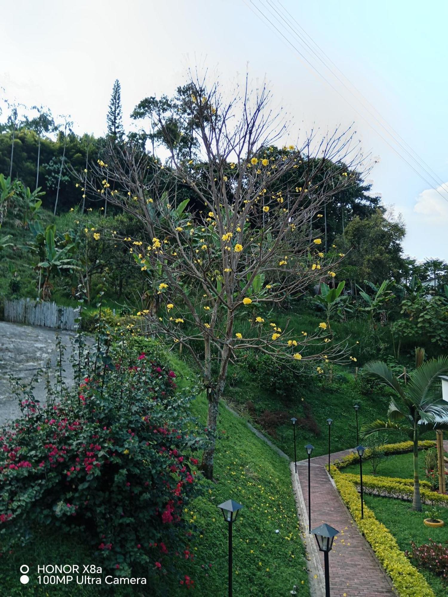 Hospedaje Campestre Providencia مانيزاليس المظهر الخارجي الصورة